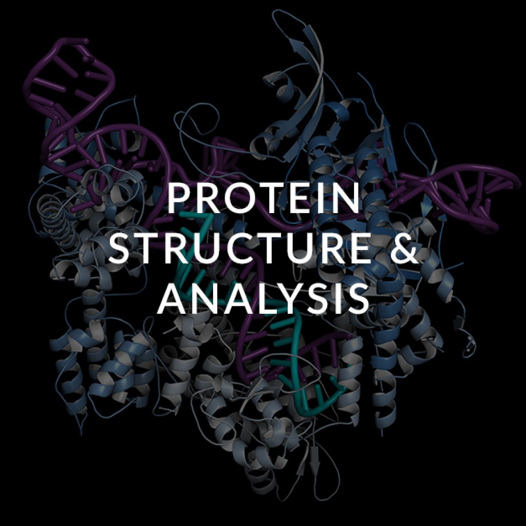 11 Protein Structure and analysis and testing