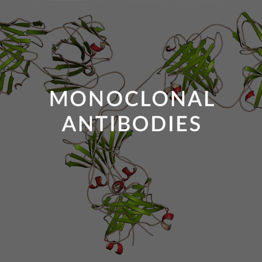 14 Monoclonal antibodies MAbs