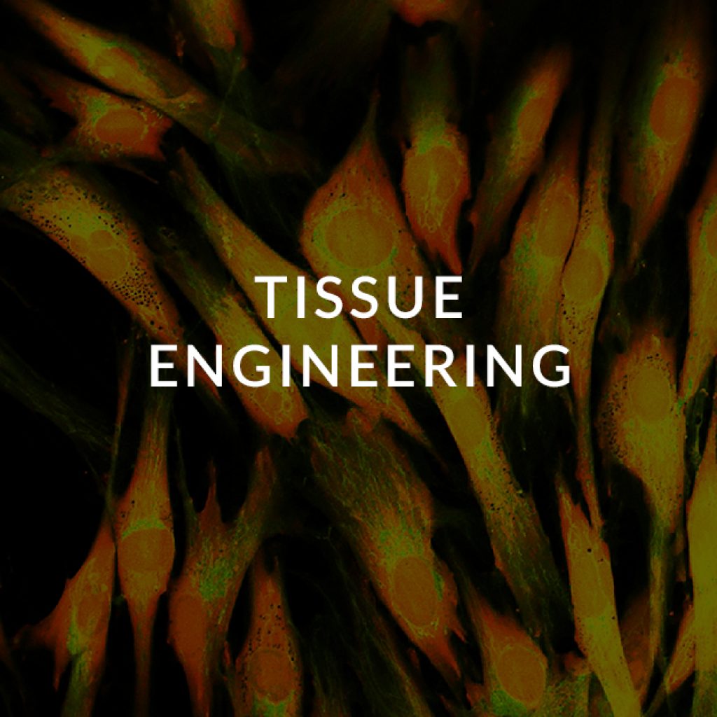 19 Tissue engineering
