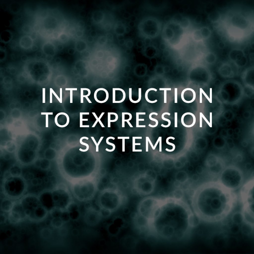 2 Introduction to expression systems used to make biologicals