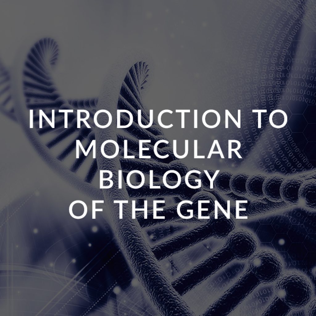 3 Introduction to molecular biology of the gene for genetic engineering in biologics and ATMPs