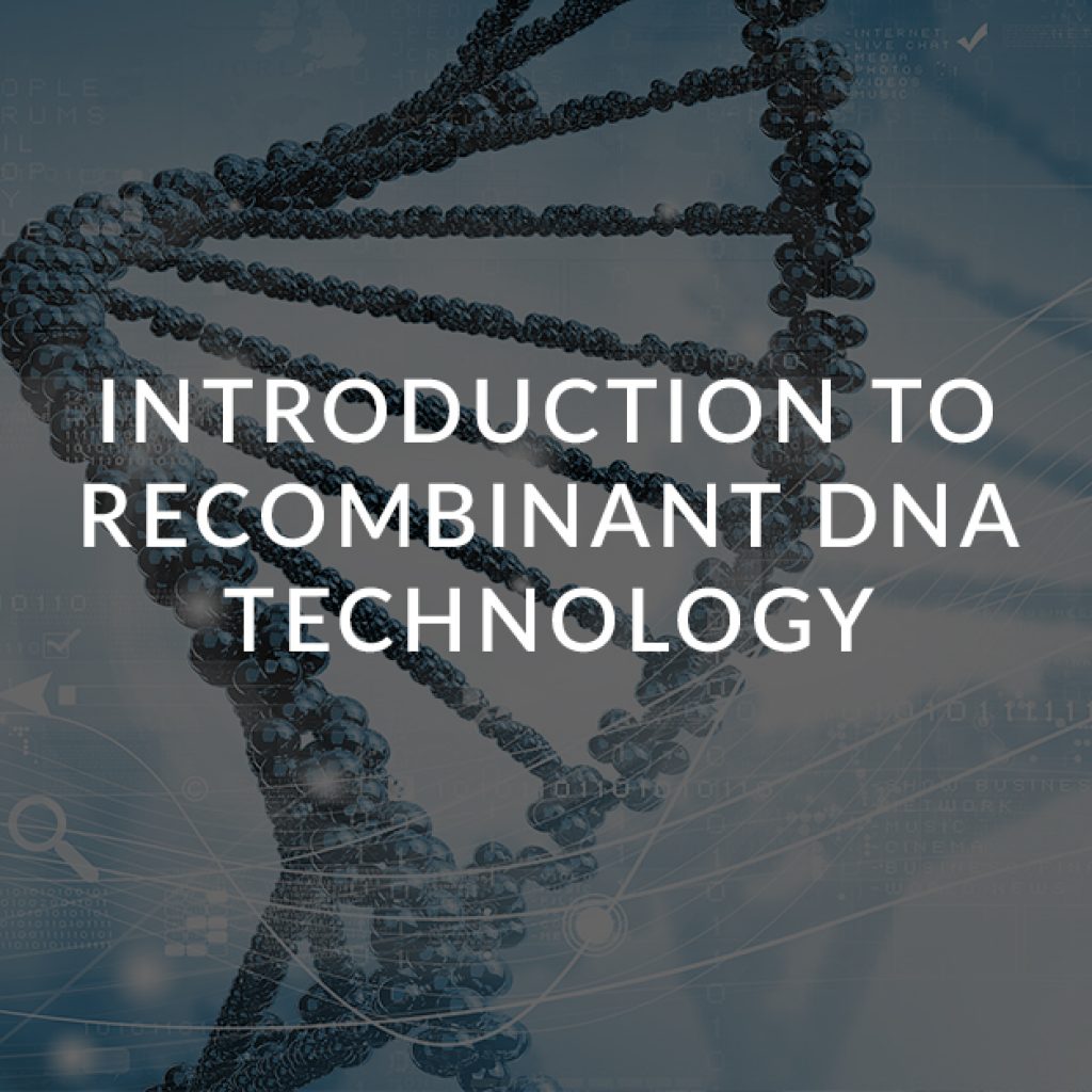 4 Introduction to recombinant DNA technology