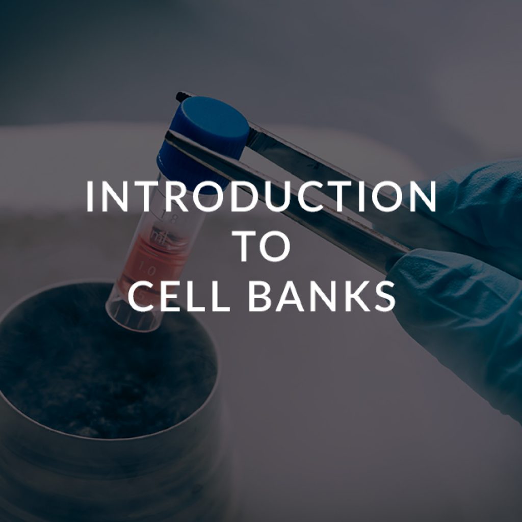 5 Introduction to cell banks