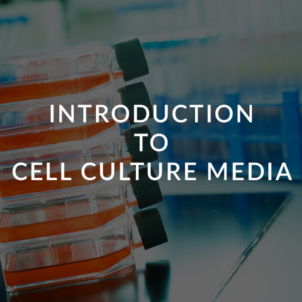 7 Introduction to cell culture media for cell growth