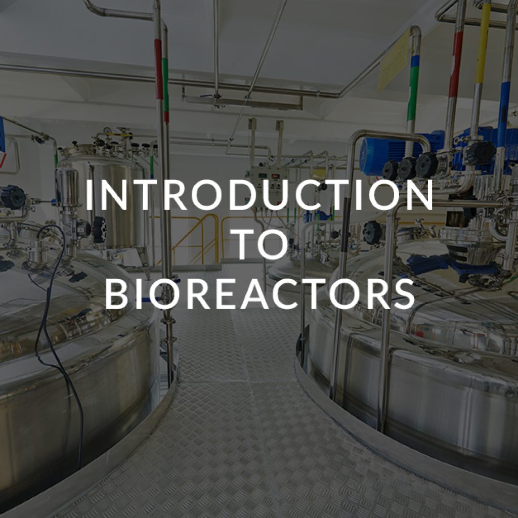 8 Introduction to bioreactors used in biological bioprocessing